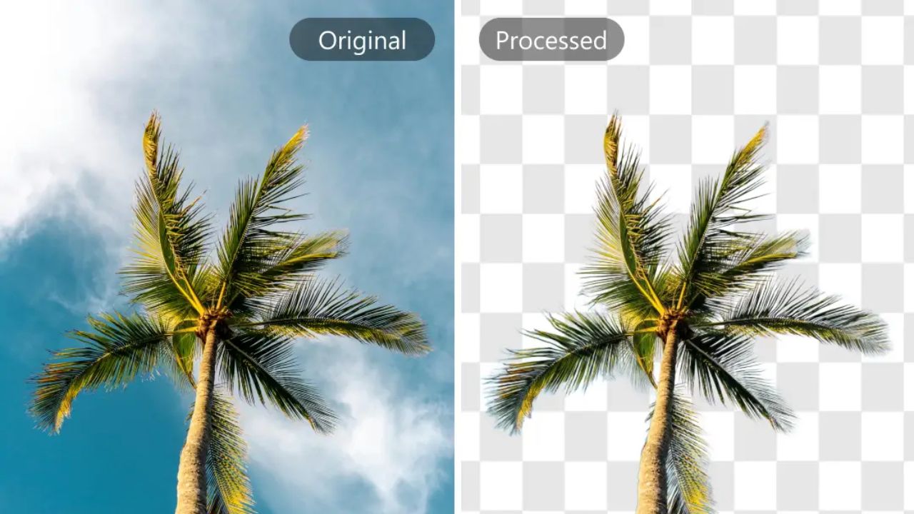 How to Achieve Amazon-Compliant Images with Background Removal Tools